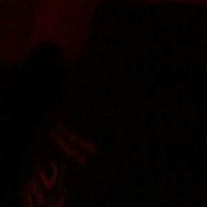 Meet your Posher, Luis